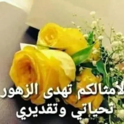 فرصه عمل للسيدات 1