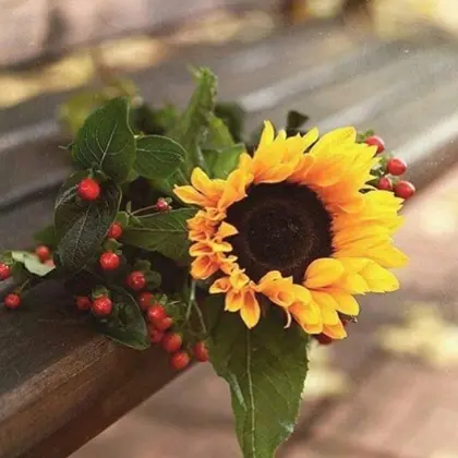 كون إجابيا متميزا 1