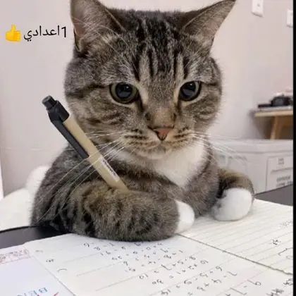 جروب ناجحين اعدادي